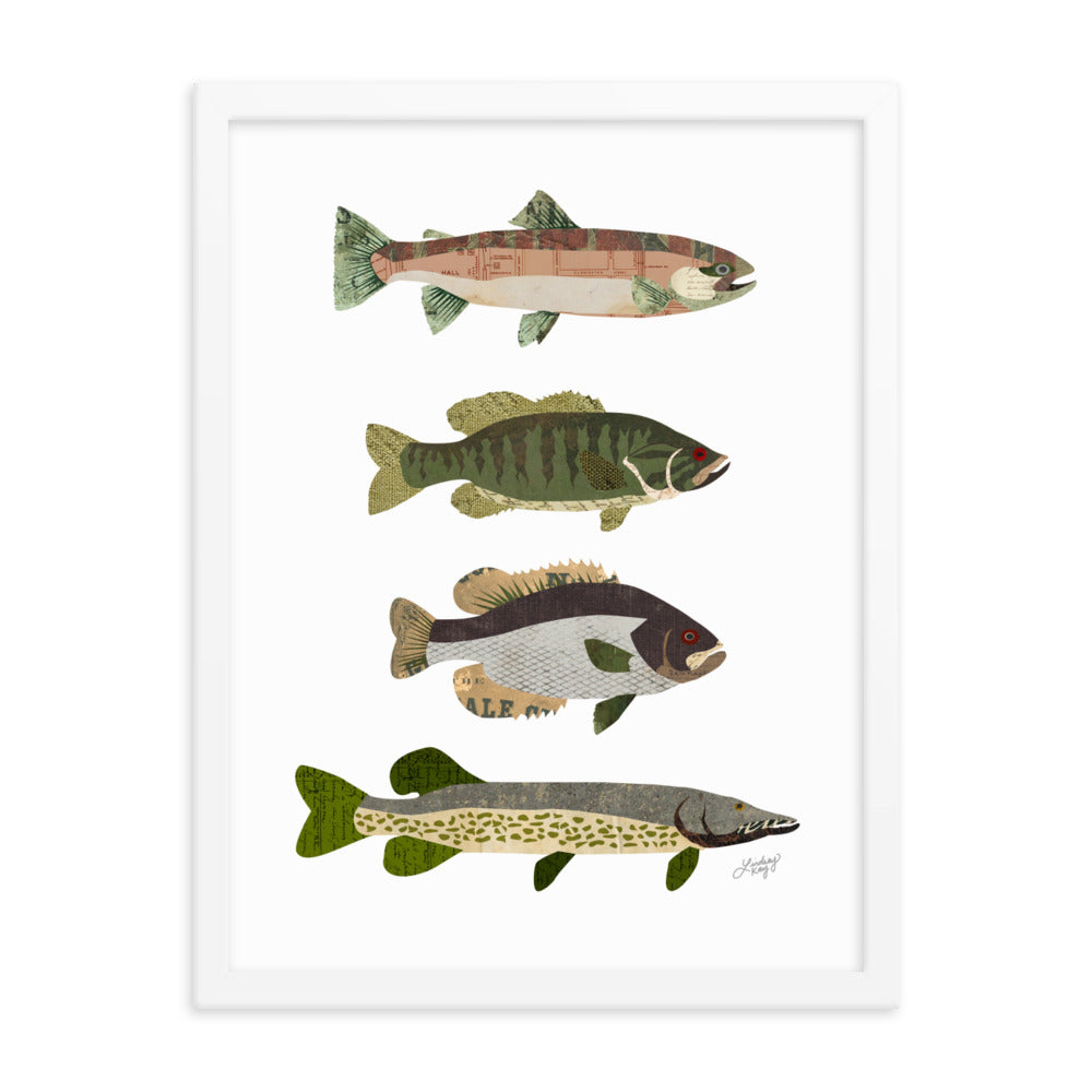 Collage de poissons - Impression mate encadrée